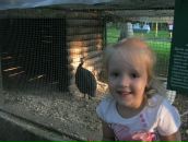 Любов Відринська фотография #27 (источник - https://vk.com/id142662164)