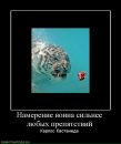 Міша Кальніцький фотография #43 (источник - https://vk.com/id5962739)