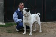 Фотография Липовская Елена