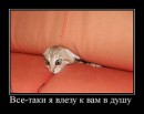 Вадим Сіранчук фотография #47 (источник - https://vk.com/id13589320)