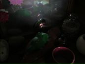 Фотография Пак Анны