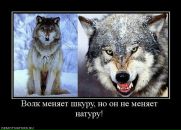 Андрій Жерновий фотография #14 (источник - https://vk.com/id17377996)