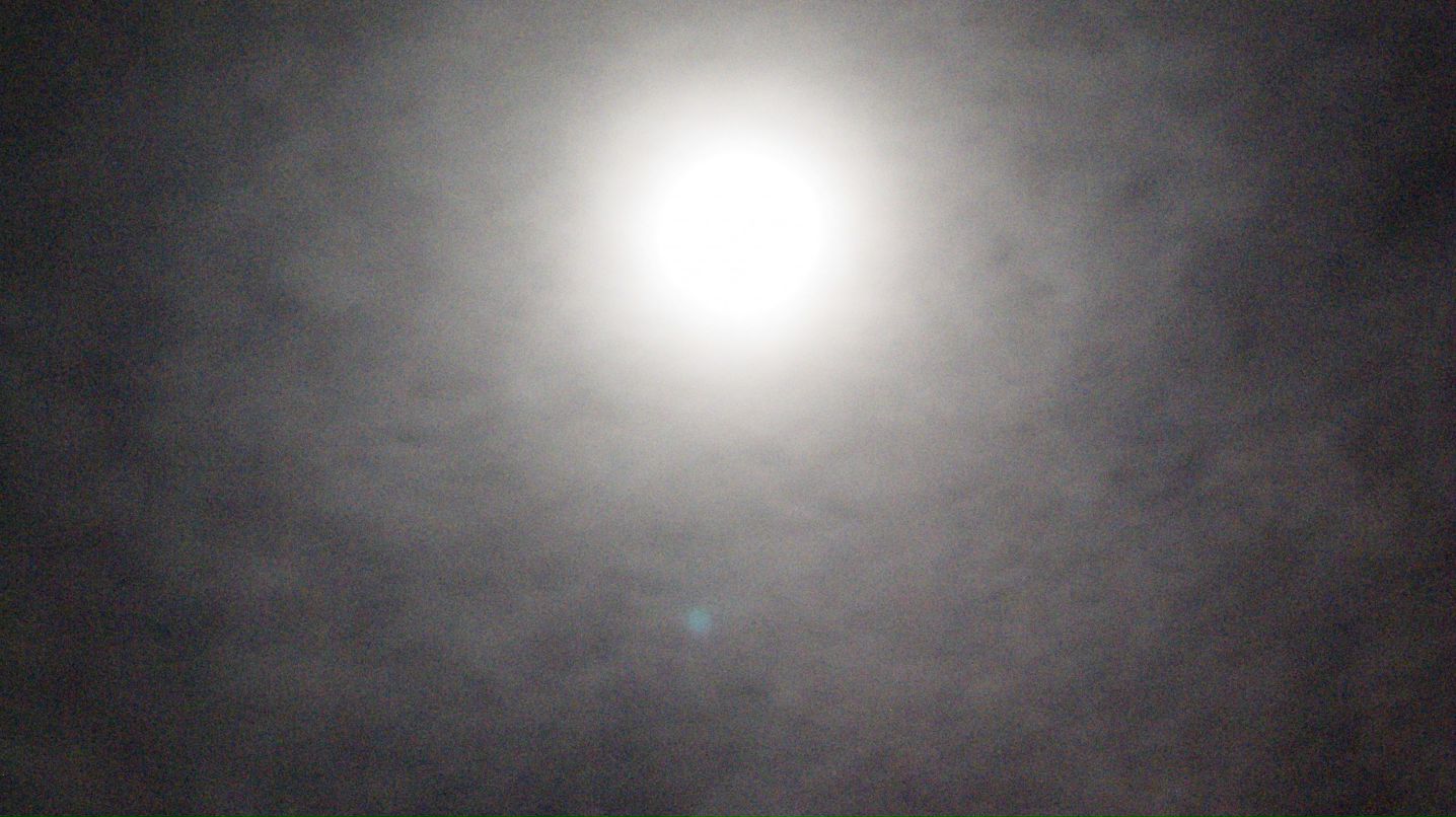 Максим Горбулин фотография #16