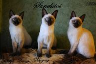 Фотография Багровой Марины