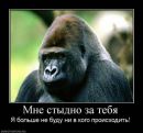 Євген Пасічник фотография #16 (источник - https://vk.com/id104820822)