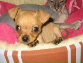 Ельвіра Довгель фотография #15 (источник - https://vk.com/id57731986)