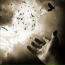 Фотография Капралова Романа