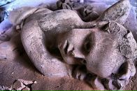 Фотография Петренко Александры