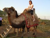 Наталія Панасюк фотография #41 (источник - https://vk.com/id126972103)