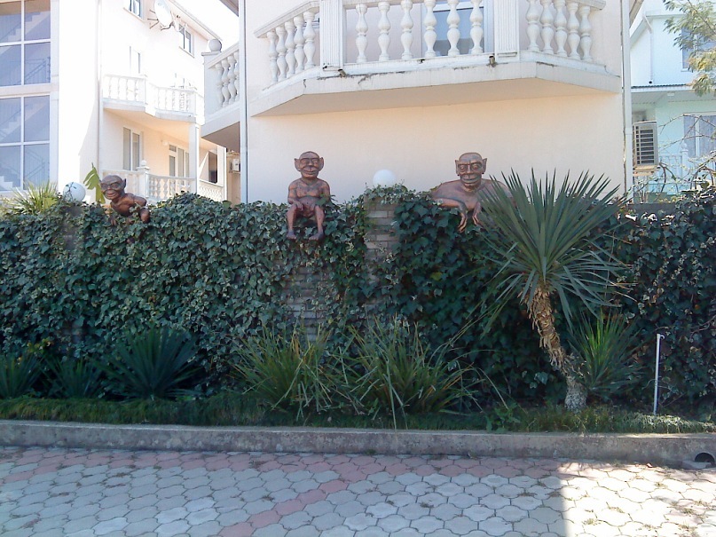 Made Rusha фотография #11