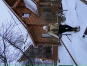 Фотография Ермаков Андрей