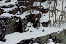 Діма Бобрик фотография #37 (источник - https://vk.com/id159173099)