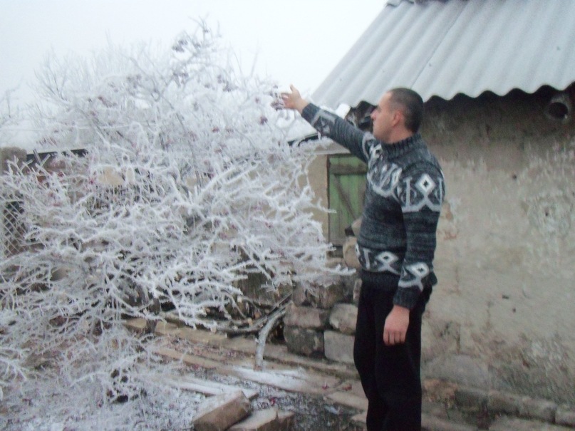 Дмитрий Старусев фотография #49