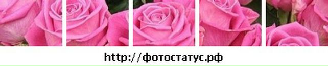 Ірина Смачило фотография #32 (источник - https://vk.com/id133972009)