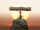 Фотография Афанасьева Владимира