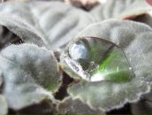 Олексій Бартосевич фотография #15 (источник - https://vk.com/id44964477)