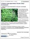 Kosta [Bermood] фотография #17 (источник - https://vk.com/id60599809)