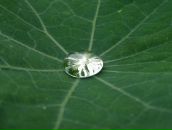 Фотография Рощупкиной Александры