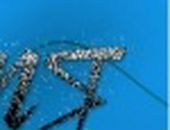 Інна Пилипів фотография #47 (источник - https://vk.com/id72525447)