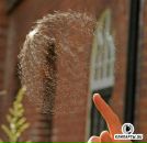 Віктор Найдук фотография #5 (источник - https://vk.com/id18036929)