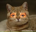 Фотография Щербаковой Ирины