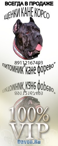 №7, Ирина, Санкт-Петербург №7, Ирина, Санкт-Петербург