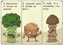 Євгений Беляк фотография #15 (источник - https://vk.com/id145605296)