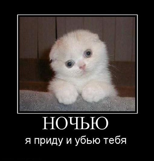 №5, Ленар и всё тут, Казань №5, Ленар и всё тут, Казань