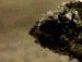  фотография #8