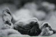 Фотография Колосовой Ани