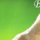 Ліля Радецька фотография #9 (источник - https://vk.com/id155361223)