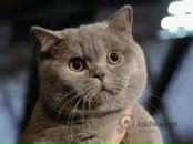 Юрій Мишкало фотография #11 (источник - https://vk.com/id41498105)