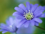 Фотография Бобровой Елены