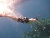 Фотография Александровича Сергея