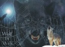 Ігор Шкутяк фотография #7 (источник - https://vk.com/id58165038)
