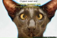 Фотография Kandalova Victoria