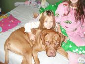 Олічка-олюся ))) фотография #3 (источник - https://vk.com/id154315834)