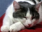 Фотография Гордиенко Игорь