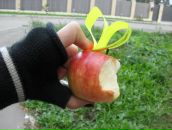 Фотография Шапошниковой Лены