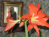 Фотография Сметанина Константина