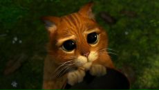 Фотография Гольдиной Жанны