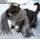 Фотография Егоровой Танюшки