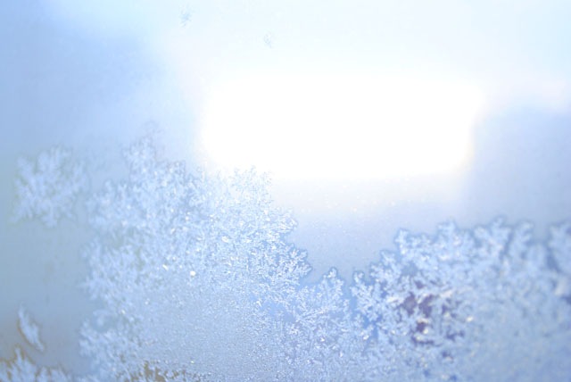 Дмитрий Сергиенко фотография #40