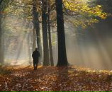 Фотография Поташева Антона