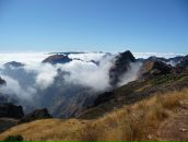 Наталья Бугакова фотография #35 (источник - https://vk.com/id158825)