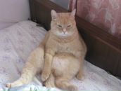 Фотография Барышниковой Ганны