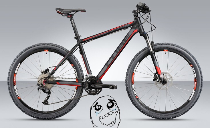 Дмитрий Кашкаров фотография #36