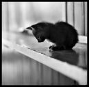 Фотография Агеевой Наташи