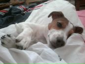 Фотография Budtova Maria