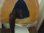 Фотография Муругиной Натальи